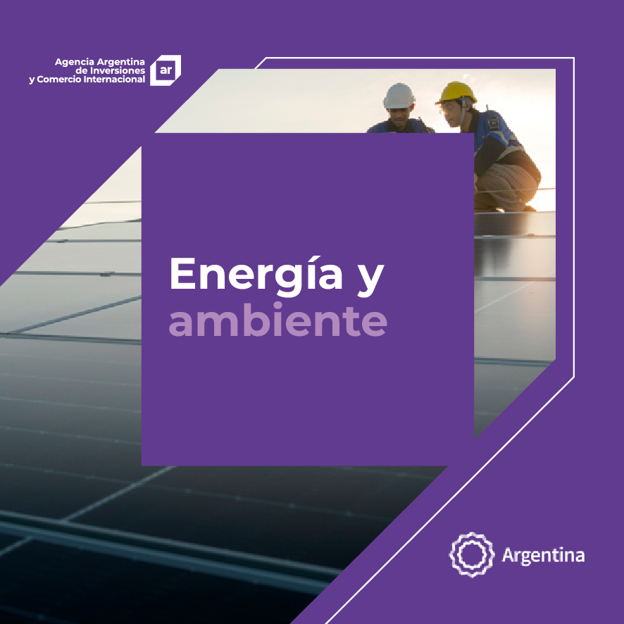 http://www.inversionycomercio.ar/images/publicaciones/Oferta exportable argentina: Energía y ambiente
