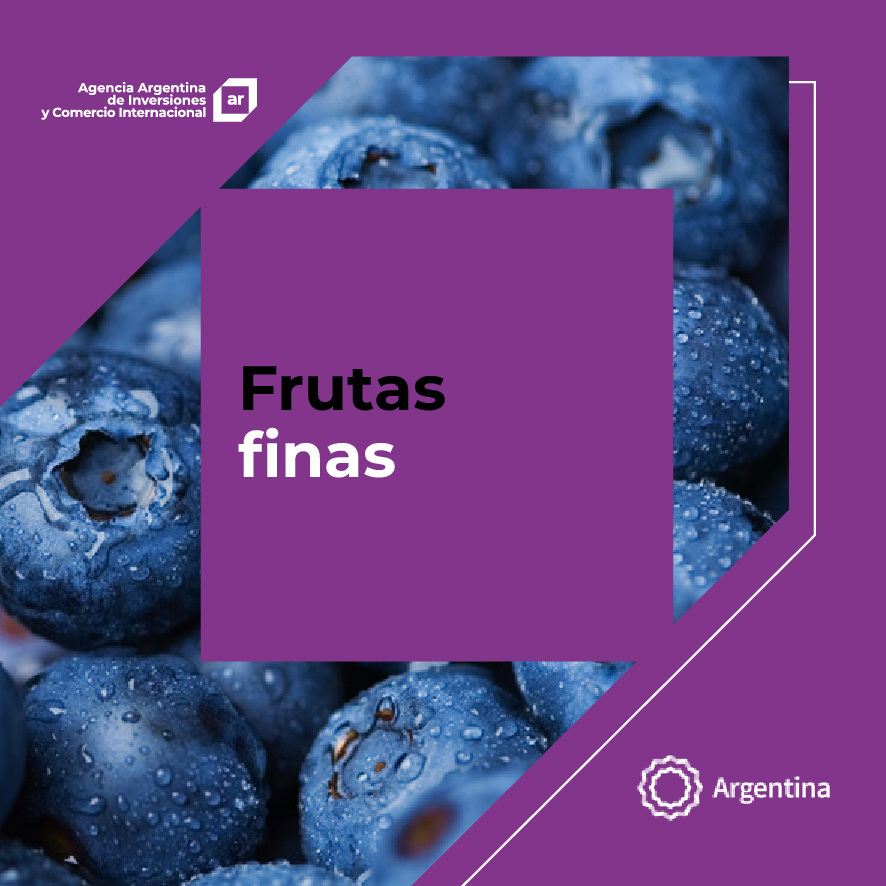 https://www.inversionycomercio.ar/images/publicaciones/Oferta exportable argentina: Frutas finas